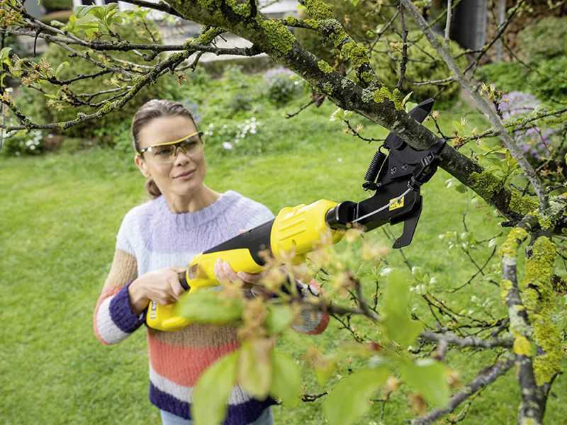 Karcher TLO 18-32 - Svettatoio a batteria da potatura - batteria 18 V