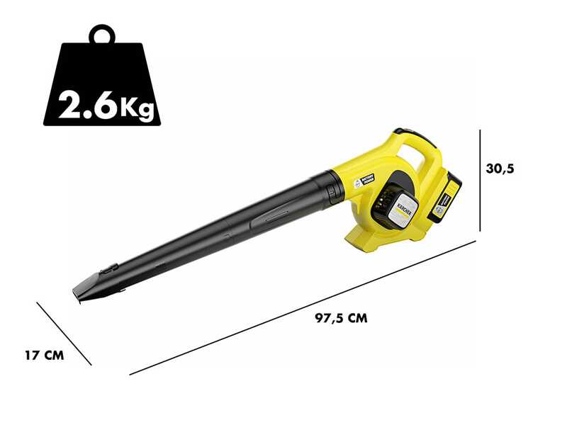 Karcher LBL 4 - Soffiatore a batteria per foglie - 36V 2.5Ah