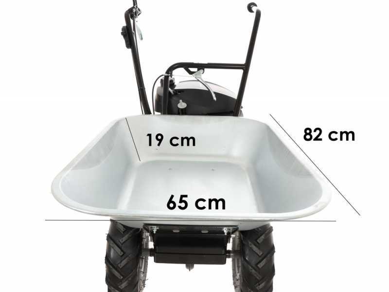 Eurosystems Carry - Carriola a motore trazionata con motore Honda GCVx 170
