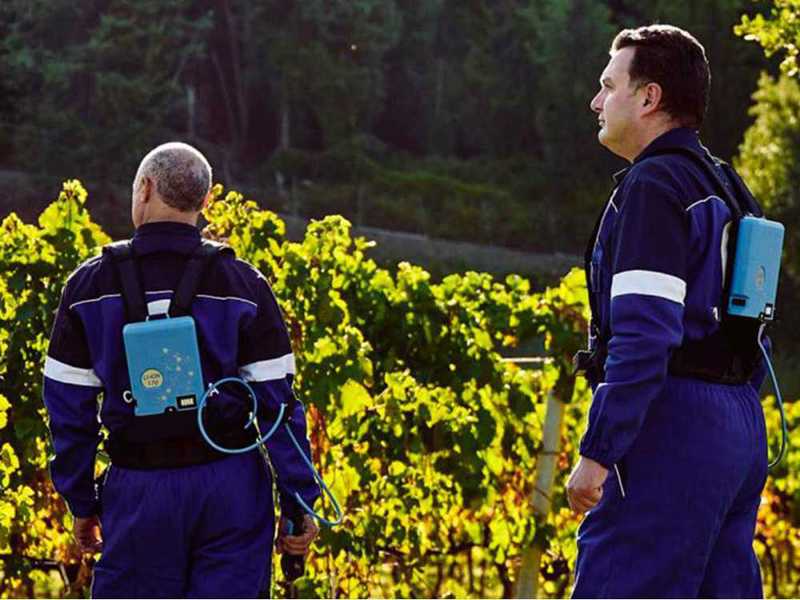 Batteria a zaino Li-Ion 170 Campagnola - Gruppo di alimentazione per attrezzi elettrici