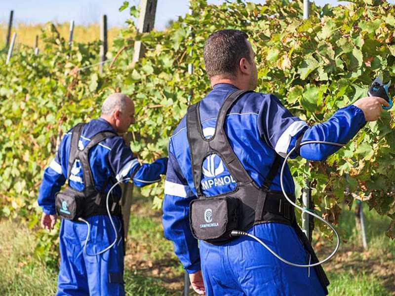 Campagnola Easy S - Forbice elettrica da potatura - Diametro di taglio 30mm - SENZA BATTERIA E CARICABATTERIA