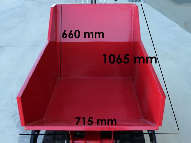 Blue Bird Trasporter 500DL - Motocarriola cingolata cassone dumper 500Kg