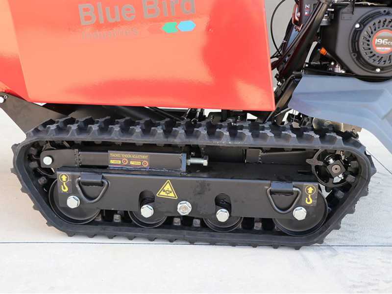 Blue Bird Transporter 500 D - Motocarriola cingolata cassone dumper 500Kg