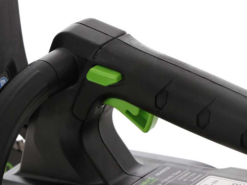 Greenworks GD40TCS - Elettrosega da potatura 40V 2Ah - Lama da 25cm