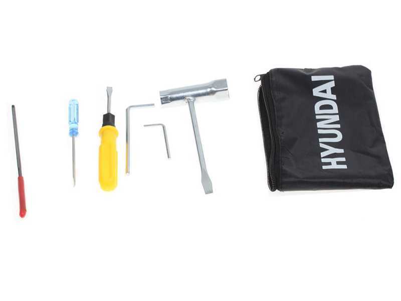 Hyundai LD825A - Motosega da potatura con borsa e catena - Lama da 25cm