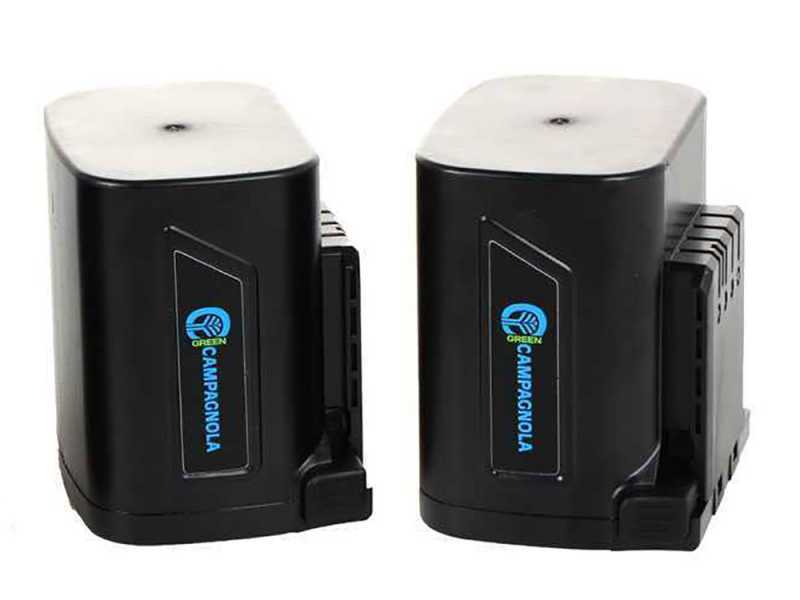 Campagnola T-Fox - Potatore manuale elettrico a batteria - 2 batterie da 21,6V - 4Ah
