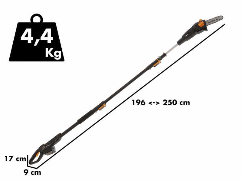 Alpina AMT 20 Li - Potatore su asta di prolunga telescopica a batteria multifunzione - batteria 20V 4Ah