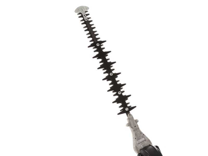 Zanon Raptor 600 - Tagliasiepi su asta di prolunga telescopica a batteria 50.4V/15.9Ah