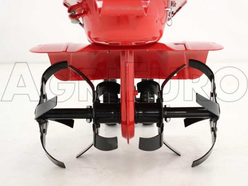 Eurosystems Z2-RM - Motozappa a benzina 3.5 HP - Briggs&amp;Stratton 450