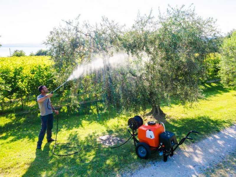 Stocker Art. 303 - Pompa irroratrice elettrica carrellata con barra d'irrigazione - 80L - 12V
