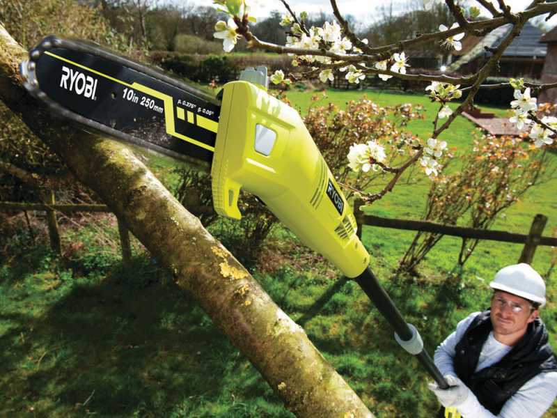 Ryobi RP750450 - Potatore/Tagliasiepi su asta telescopica - Lama da 45cm