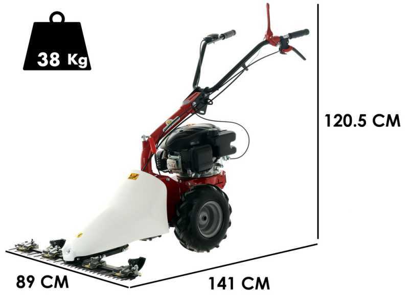Eurosystems M210 - Motofalciatrice bilama - Loncin LC1P65FE