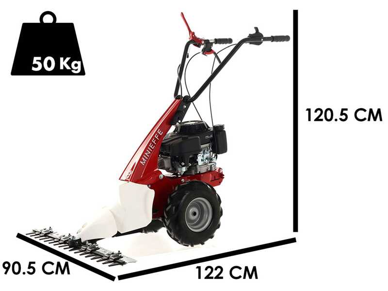 Eurosystem Minieffe - Motofalciatrice multifunzione - Loncin L200 OHV