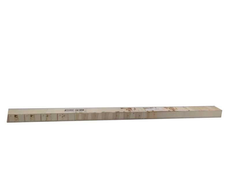 BlackStone 500-BP - Forbice elettrica da potatura su asta - 37V 5.2Ah - 250 cm - Diametro di taglio 40mm