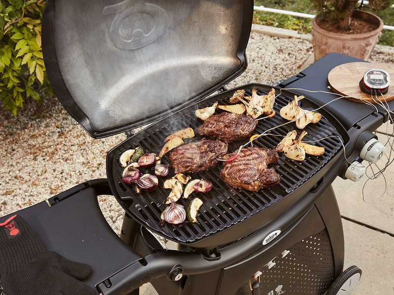 Weber Q3200 Station - Barbecue a gas