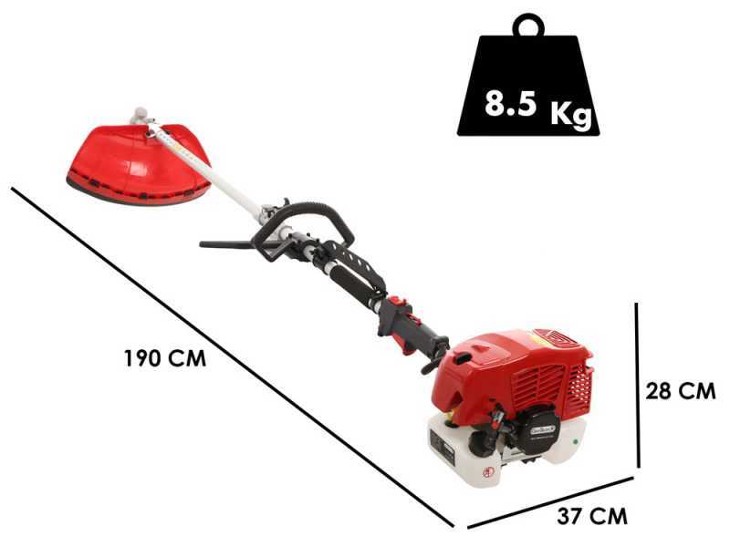 GeoTech GT-2 58 L - Decespugliatore a scoppio multifunzione