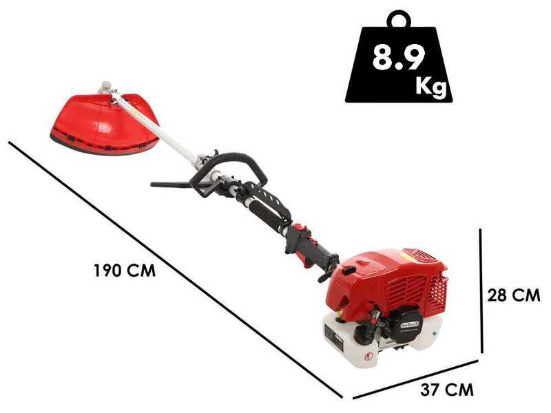 GeoTech GT-2 58 L - Decespugliatore a scoppio