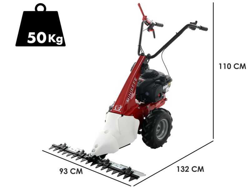 Eurosystems Minieffe - Motofalciatrice multifunzione - B&amp;S 450E
