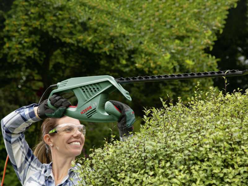 Bosch Easy HedgeCut 45 - Tagliasiepi elettrico con lama da 45 cm - 420W