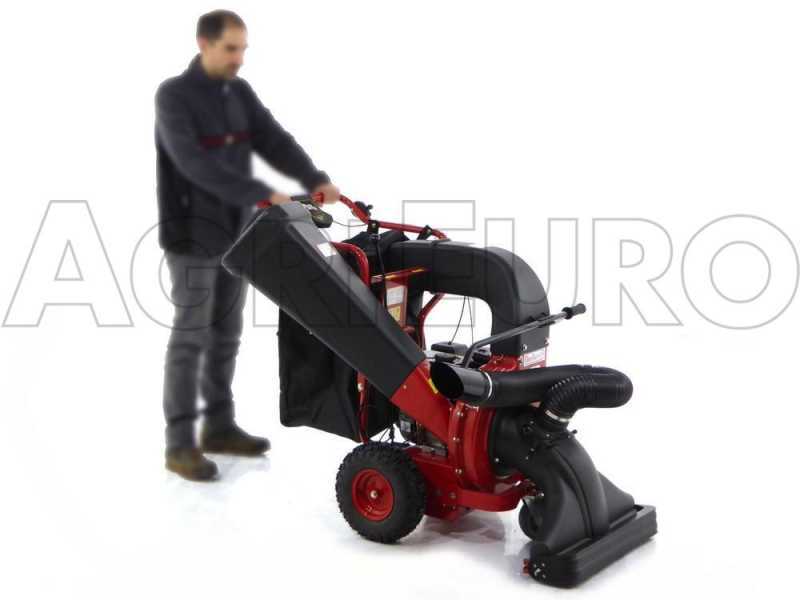 GeoTech LV650 SPBS Deluxe - Aspirafoglie-Biotrituratore trazionato a marce - B&amp;S Vanguard