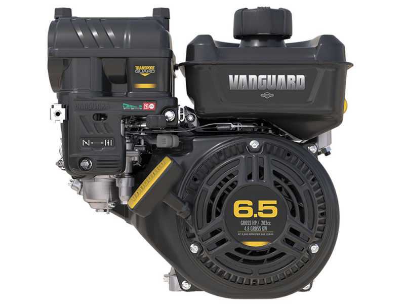 GeoTech LV650 SPBS Deluxe - Aspirafoglie-Biotrituratore trazionato a marce - B&amp;S Vanguard