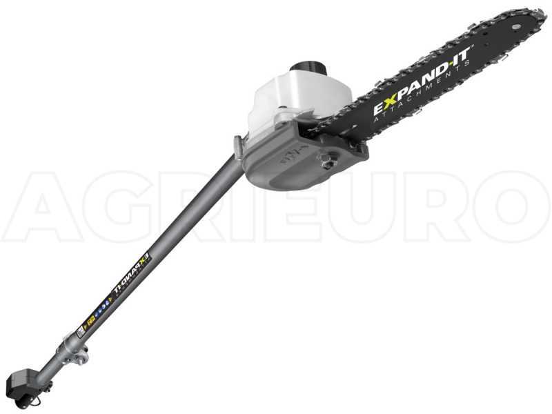 Accessorio potatore RYOBI RXPR01