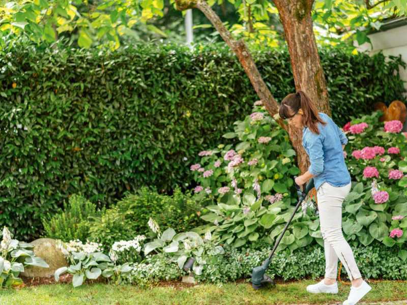 Bosch EasyGrassCut 26 - Tagliabordi Elettrico - 280 W