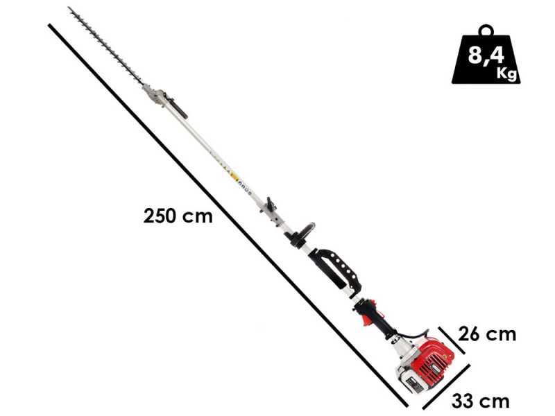 GeoTech GT-2 33 L - Tagliasiepi a scoppio su asta di prolunga - Lama da 56 cm