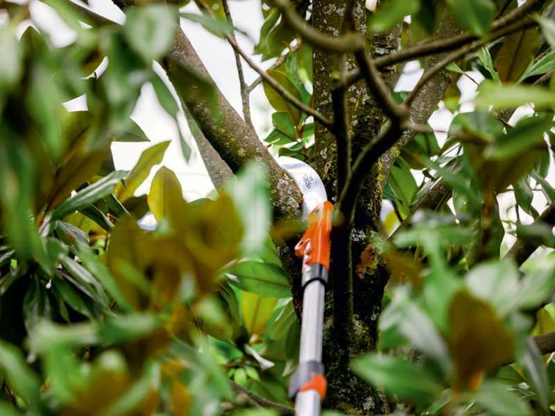 Stocker Sirkos 330 TC - Seghetto con manico telescopico 225-380 cm