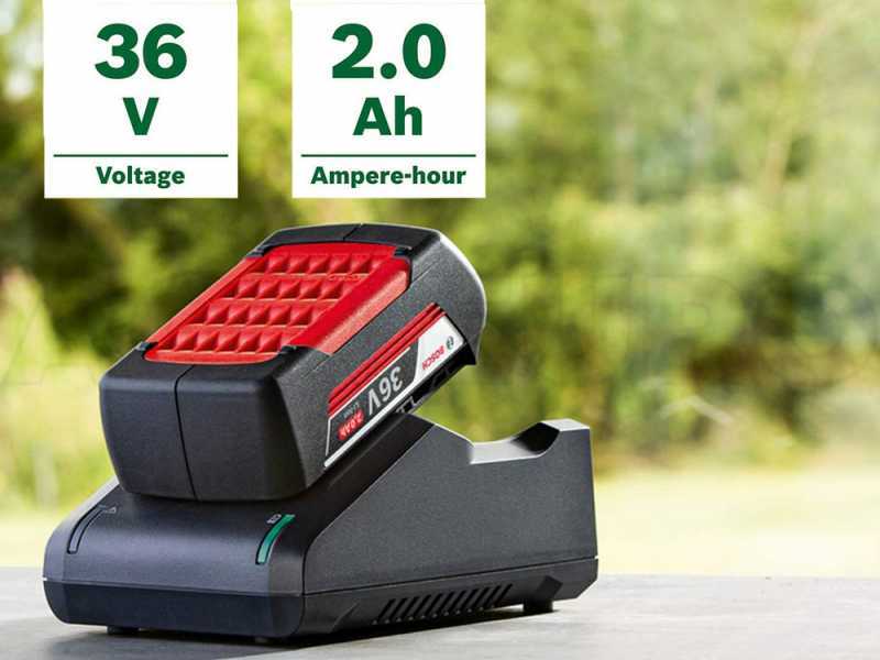Starter Set 36V BOSCH -Con una batteria da 2.0 ah e caricabatteria
