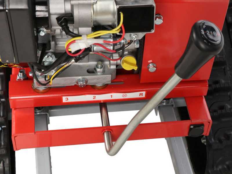 GeoTech-Pro GFM 860 BS-E - Trinciaerba professionale a martelli - B&amp;S XR2100