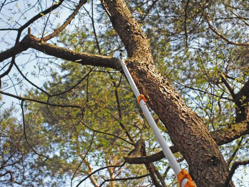 Silky Longboy 360 Seghetto professionale su asta telescopica in alluminio - asta di 3,60M
