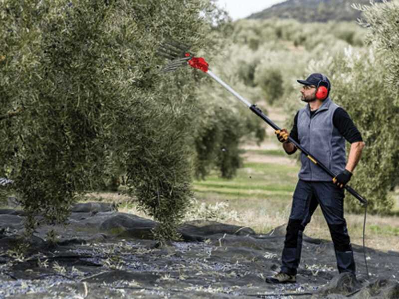 Zanon Olivar Electric AL 300 - Abbacchiatore elettrico a batteria da - Asta telescopica in alluminio 210 - 340 cm