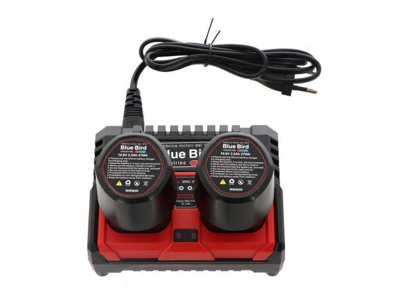 Blue Bird PCS 22-06 - Potatore a batteria su asta telescopica - 10.8V - 2.5Ah