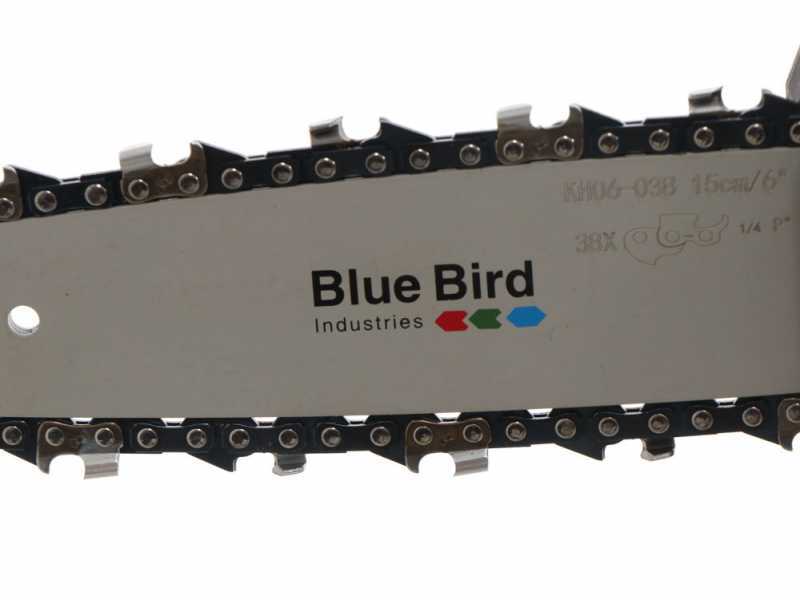 Blue Bird PCS 22-06 - Potatore a batteria su asta telescopica - 10.8V - 2.5Ah