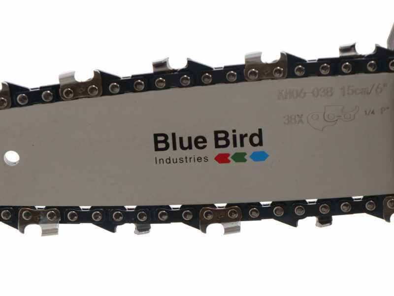 Potatore a batteria su asta telescopica Blue Bird PCS 22-06 - 10.8V - 2.5Ah