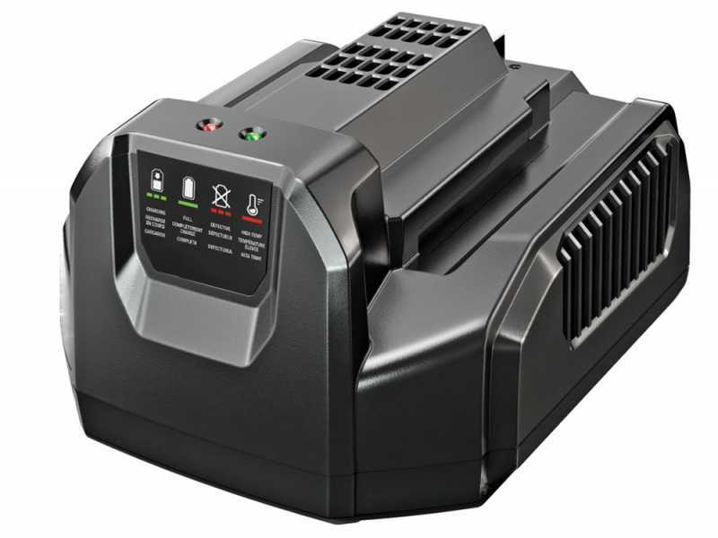 Caricabatterie standard EGO - CH2100E