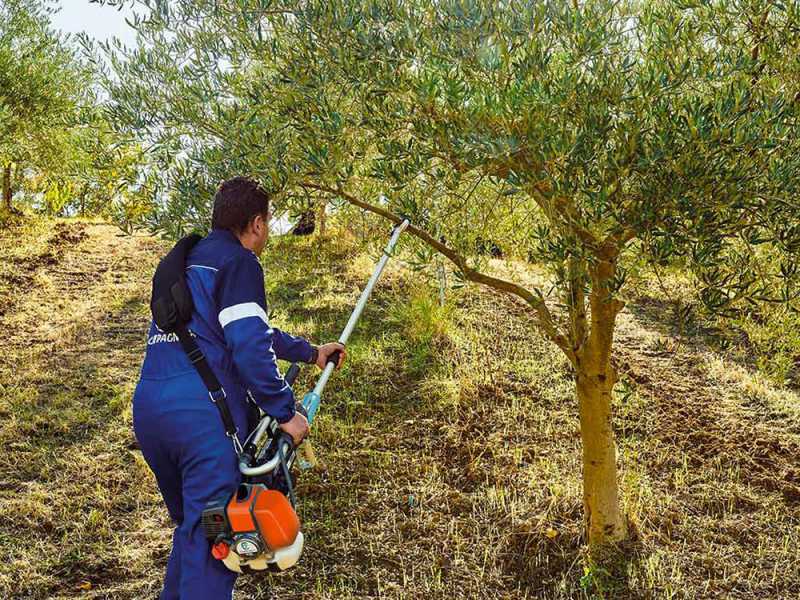 Campagnola GSM Toro Evoluzione K - Asta fissa - 407 cm - Scuotitore a scoppio con gancio