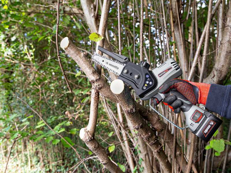 Ausonia Nativa Saw - Potatore manuale elettrico a batteria - 3 Batterie da 24V 2.5Ah