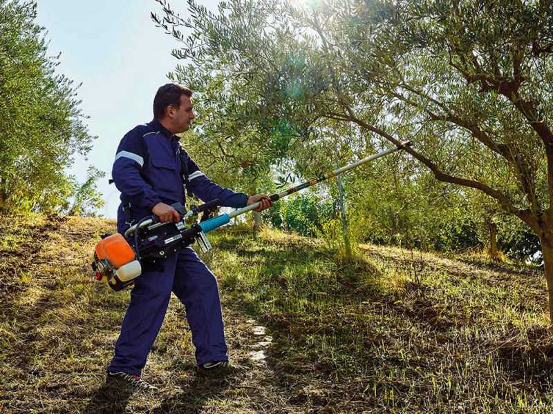 Campagnola GSM Toro Evoluzione K - Asta fissa - 277 cm - Scuotitore a scoppio con gancio