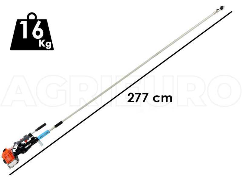 Campagnola GSM Toro Evoluzione K - Asta fissa da 200 - Scuotitore a scoppio con gancio