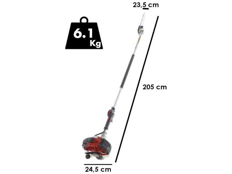 Efco PTH2500 - Potatore a scoppio su asta fissa - Lama 25cm