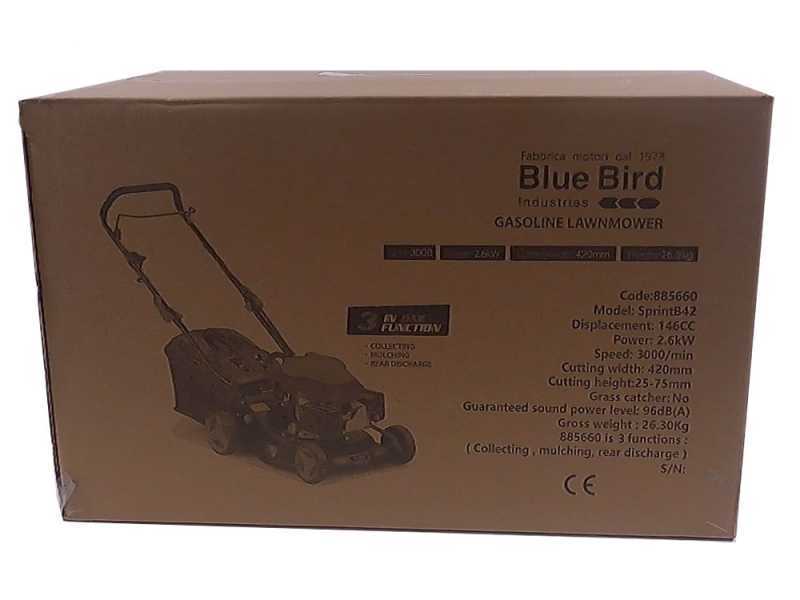 Rasaerba a spinta Blue Bird Sprint B42 - 3 in 1 - 146 cc - Lama da 42 cm