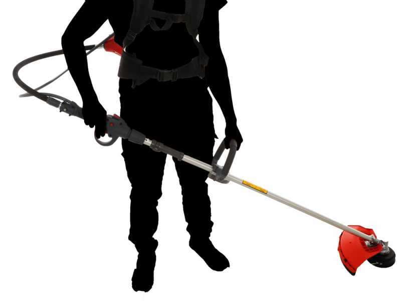 Efco DSF 5500 - Decespugliatore a zaino - Motore Emak