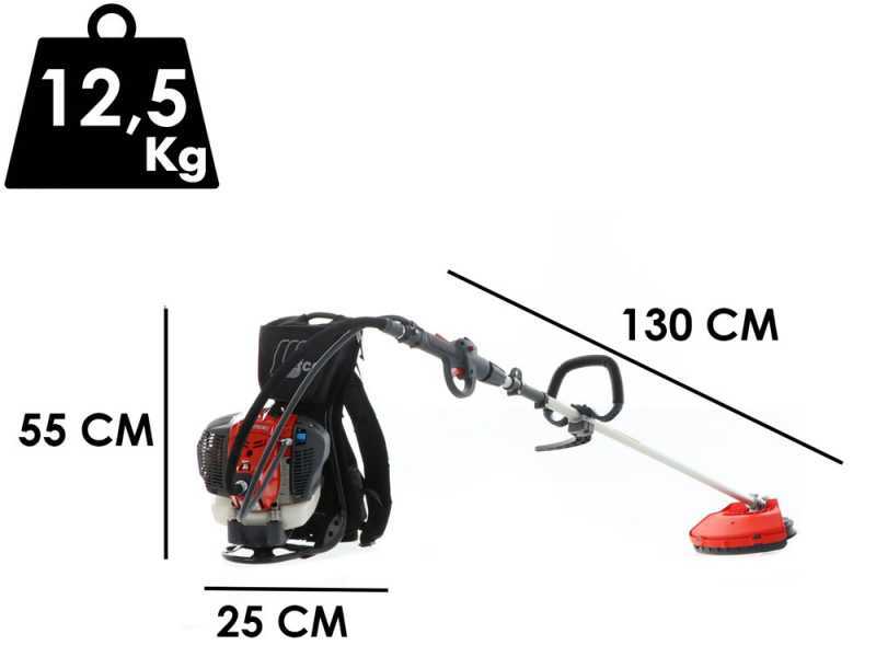 Efco DSF 5500 - Decespugliatore a zaino - Motore Emak