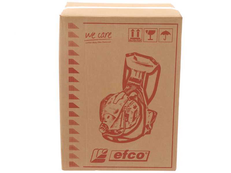 Efco DSF 5500 - Decespugliatore a zaino - Motore Emak
