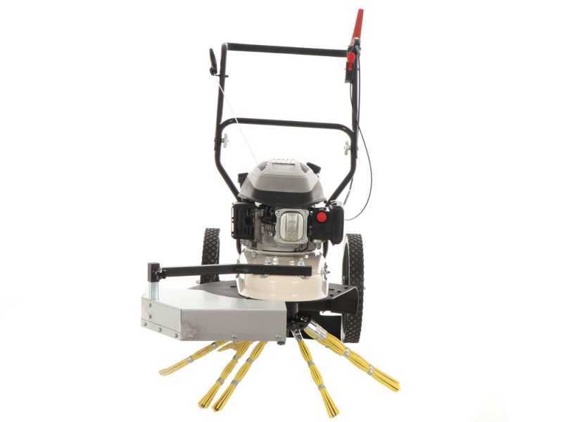 BlackStone WYT 60-173 - Motospazzola con motore a scoppio a spinta