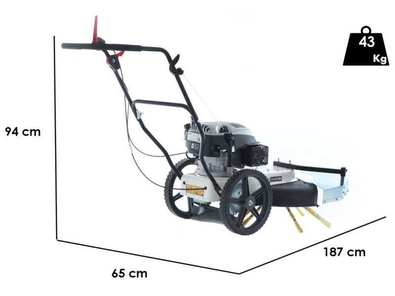 BlackStone WYT 60-173 - Motospazzola con motore a scoppio a spinta