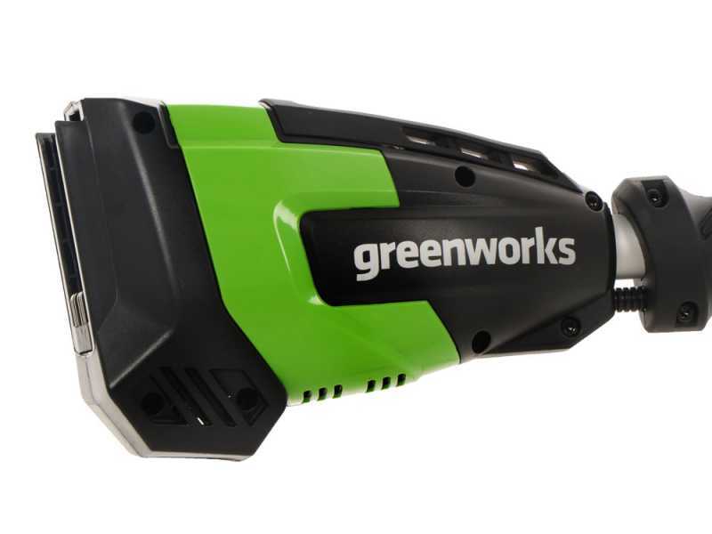 Tagliasiepi a batteria su asta di prolunga Greenworks G48PHT 48 V - Batteria da 2Ah