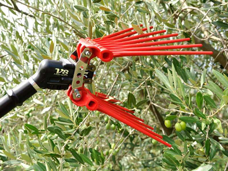 Lisam V8 Titanium - Abbacchiatore pneumatico - scuotiolive 6 bar - 2000 battiti al minuto